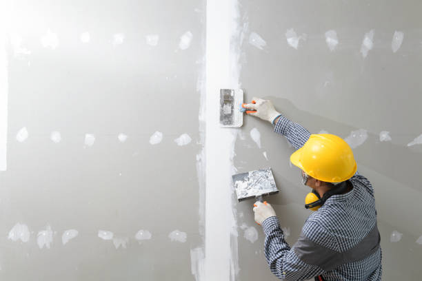 Sulphur, LA Mold Removal Company