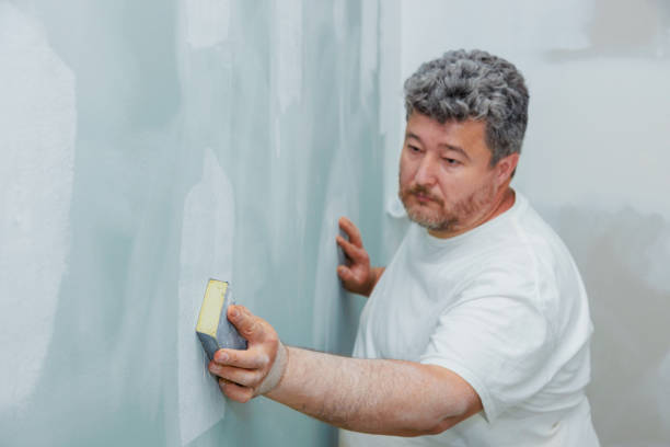 Best Attic Mold Removal  in Sulphur, LA