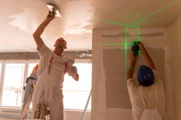 Best Industrial Mold Remediation  in Sulphur, LA